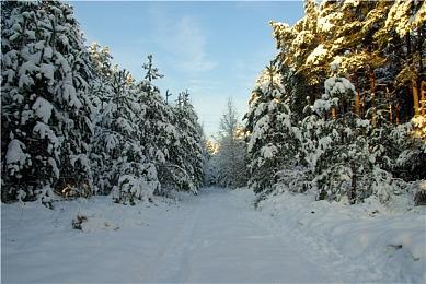 恐怖动作《国际指定怪异124号 东京废村》登陆steam